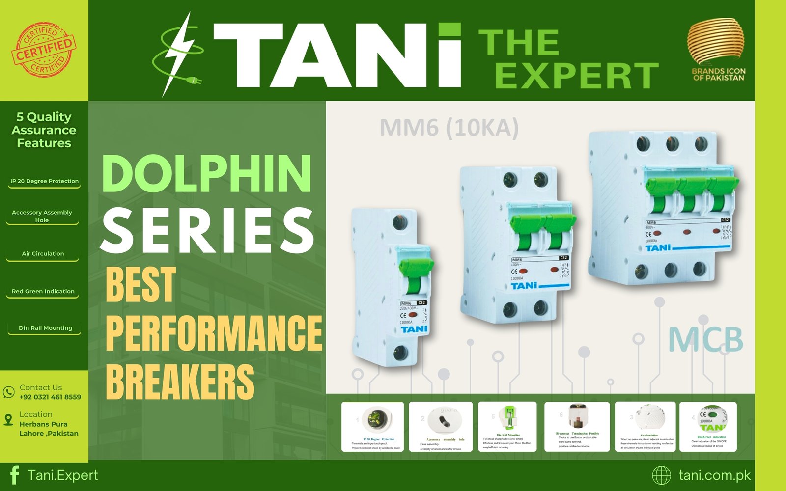 Dolphin Series Popup