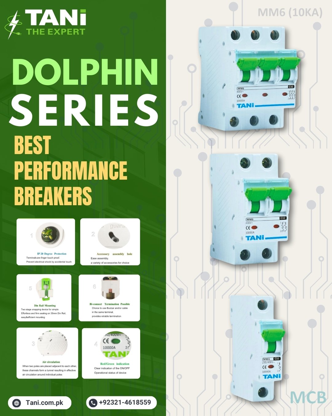 Dolphin Series